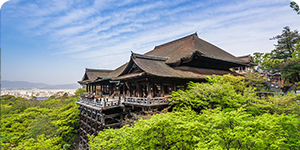 伏見稲荷大社・清水寺・金閣寺・嵐山