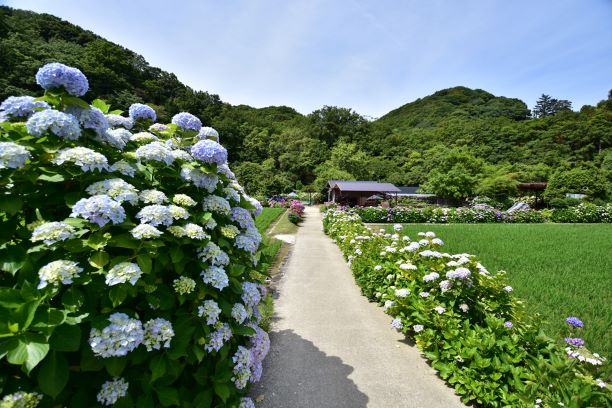 原風景 日本の原風景を守るキャンペーン